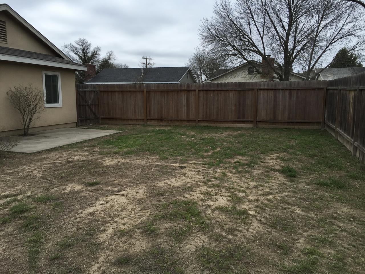 Plain suburban backyard before landscape design